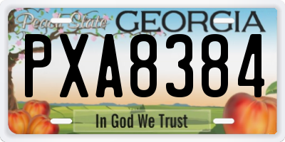 GA license plate PXA8384