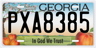 GA license plate PXA8385