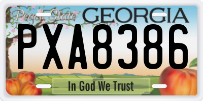 GA license plate PXA8386