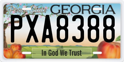 GA license plate PXA8388