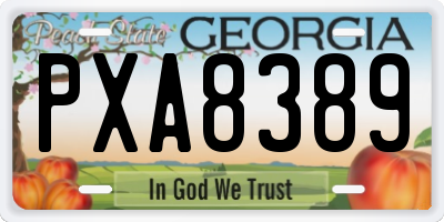 GA license plate PXA8389