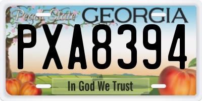 GA license plate PXA8394