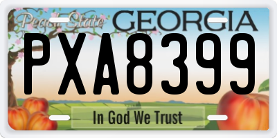 GA license plate PXA8399