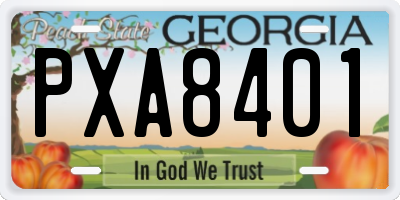 GA license plate PXA8401
