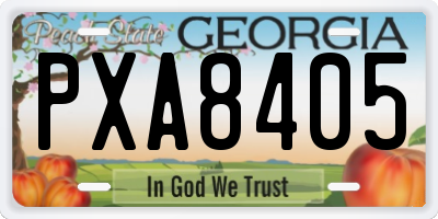 GA license plate PXA8405