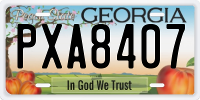 GA license plate PXA8407