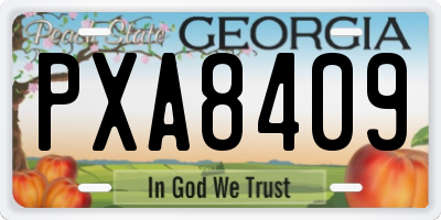 GA license plate PXA8409
