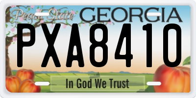 GA license plate PXA8410
