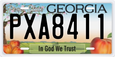 GA license plate PXA8411
