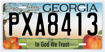 GA license plate PXA8413