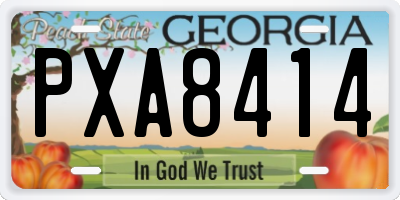 GA license plate PXA8414