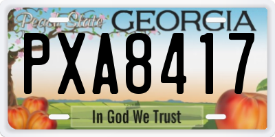 GA license plate PXA8417