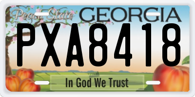 GA license plate PXA8418
