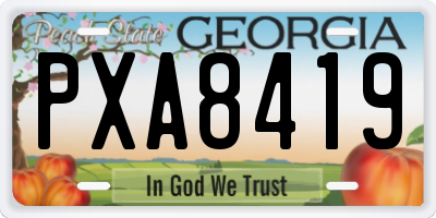 GA license plate PXA8419