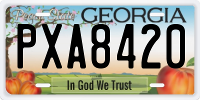 GA license plate PXA8420