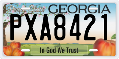 GA license plate PXA8421
