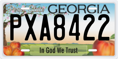 GA license plate PXA8422