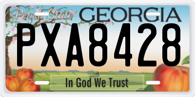 GA license plate PXA8428