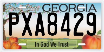 GA license plate PXA8429