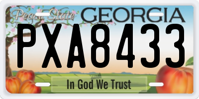 GA license plate PXA8433