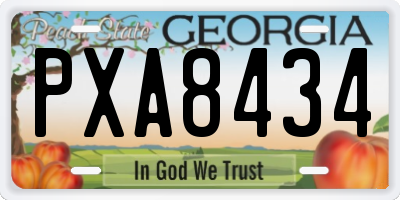GA license plate PXA8434