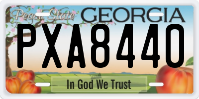 GA license plate PXA8440