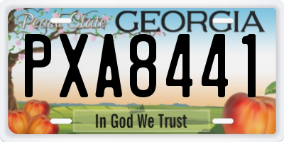 GA license plate PXA8441