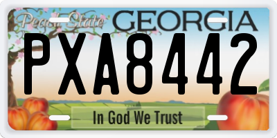 GA license plate PXA8442