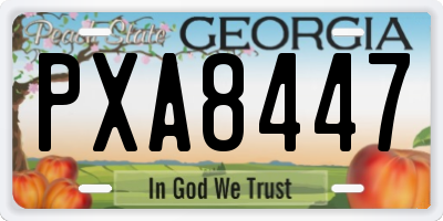 GA license plate PXA8447