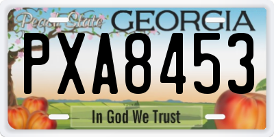 GA license plate PXA8453