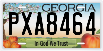 GA license plate PXA8464