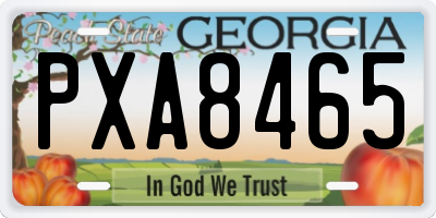 GA license plate PXA8465