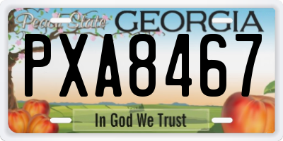 GA license plate PXA8467