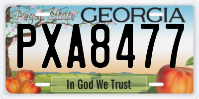 GA license plate PXA8477