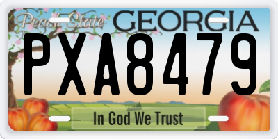 GA license plate PXA8479