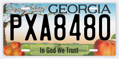 GA license plate PXA8480