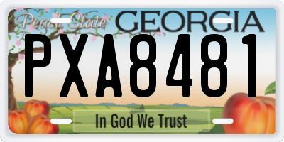 GA license plate PXA8481