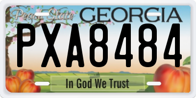 GA license plate PXA8484