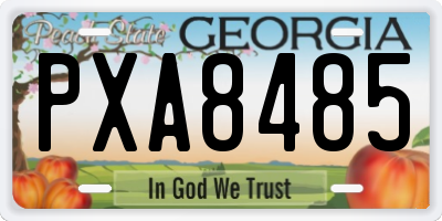 GA license plate PXA8485