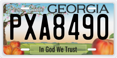 GA license plate PXA8490