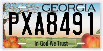 GA license plate PXA8491