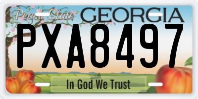 GA license plate PXA8497