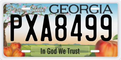 GA license plate PXA8499