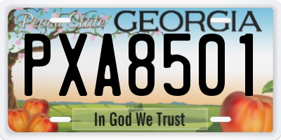 GA license plate PXA8501