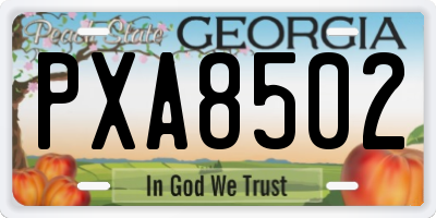 GA license plate PXA8502