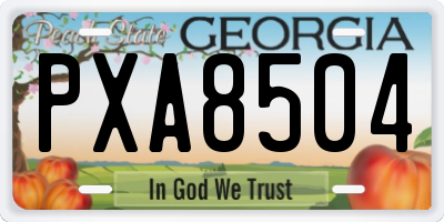 GA license plate PXA8504