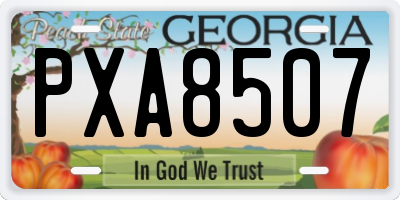 GA license plate PXA8507