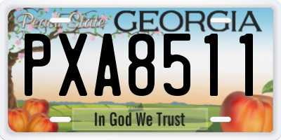 GA license plate PXA8511