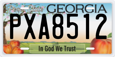 GA license plate PXA8512