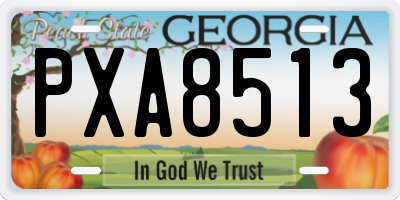 GA license plate PXA8513